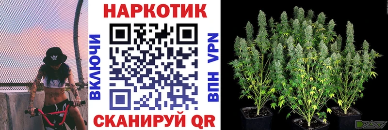 Сколько стоит Тбилисская Альфа ПВП Псилоцибиновые грибы COCAIN МЕФ