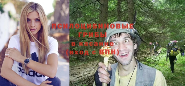 ГАЛЛЮЦИНОГЕННЫЕ ГРИБЫ Абинск