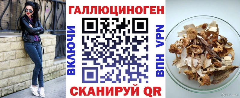 где купить наркоту Тбилисская Псилоцибиновые грибы Psilocybine cubensis